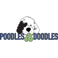 Poodles Doodles