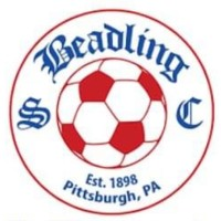 Beadling SCS