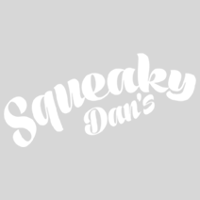 Squeaky Dan's Window Cleaning San Antonio