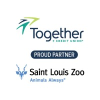 Together CREDIT UNION