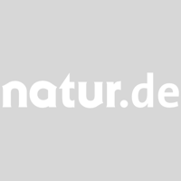 Bild der Wissenschaft